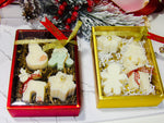 Holiday cheer Gift Box